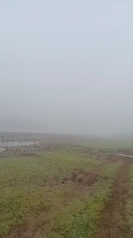 पुष्पराजगढ़: बसंतपुर मे सुबह 10 बजे तक रहा कोहरा का कहर ☁️🌨️🌨️☁️#kohra
