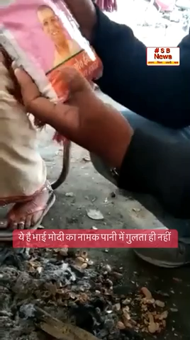 ये है भाई मोदी का नामक पानी में गुलता ही नहीं  #sbnewsfbd #up #bjpup  #modi  #yogi #india