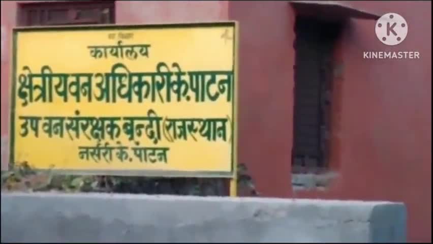 केशोरायपाटन: केशोरायपाटन में अवैध खनन कर ले जा रहे बजरी से भरे ट्रैक्टर ट्राली को किया जप्त, चालक हुआ फरार #बजरी