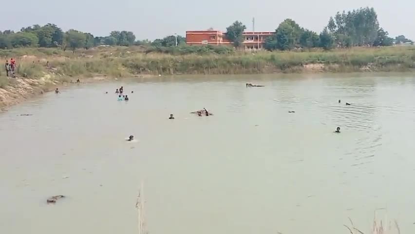 मड़ियाहू: बरसठी थाना के अंतर्गत बनकट कारो ग्राम सभा  मूर्ति विसर्जन भारी संख्या में श्रद्धालु उपस्थित रहे।#pradeepbharatnews #