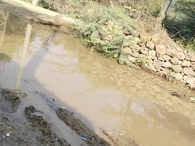 सवाई माधोपुर: पाॅचोलास गांव में सड़क पर पानी इकट्ठा होने के कारण लोगों को काफी हद तक परेशानी होती है और कई लोगों के #कोर्ट