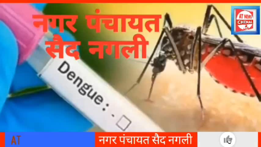 नगर पंचायत सैद नगली में डेंगू संकट: स्वास्थ्य विभाग व नगर निगम के अस्तित्व का सवाल #atnewschenal