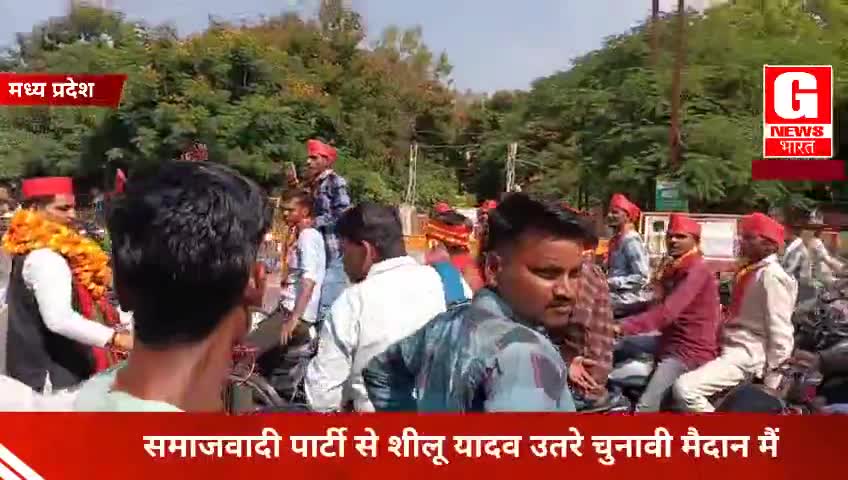 #mpelections2023 : समाजवादी पार्टी से शीलू यादव ने किया नामांकन, शिक्षा, स्वास्थ्य को बताए अपनाना...
#akhileshyadav