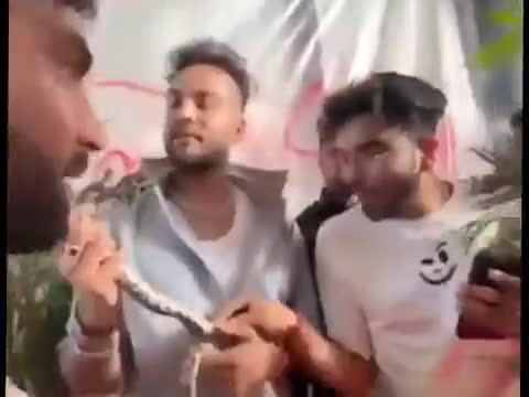 सहयोगी बोल रहा है, सांप को प्यार से पकड़ना।

#एल्विश बोला: "टेंशन मत लो, मेरा साथी है, ये..."

और भी कुछ साक्ष्य चाहिए...❓🙄