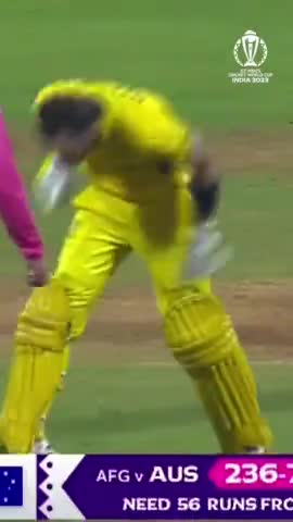 #maxwell  viral #cricket  #stadium  #worldcup2023 #mumbai
