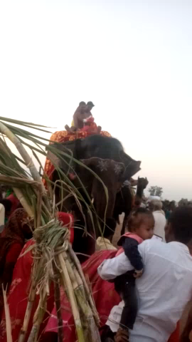 Indrapuri baraj #chhath_puja# हाथी
