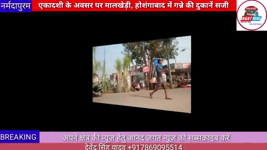 होशंगाबाद शहर: एकादशी के अवसर पर मालखेड़ी होशंगाबाद क्षेत्र में गन्ने की दुकानें सजी #hoshangabad.news 
#sugarcane
#news