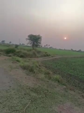 महेवा के खेतों में एक अजीब सा जानवर घूमते हुए नजर आया। #panna mp#Arjun