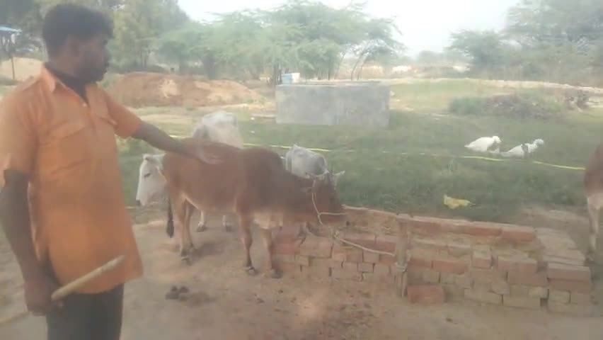 डलमऊ: #ye hamare gram sabha thulrai ka haal hai #