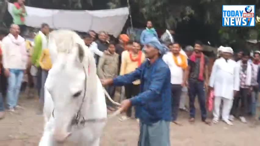 सोनपुर मेले मे आया 1 करोड़ का घोड़ा देखिए क्या है खास । #sonepur #sonepurmela #sonepurmela23 #sonepurmela #sonepurnews