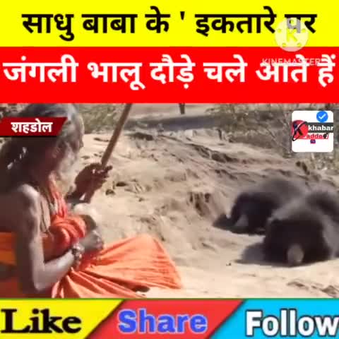 जय श्री राम हर हर महादेव जय श्री कृष्णा जय गौमाता जय गोपाल आप सभी फोलो शेयर करें आपकी अति महान कृपा होगी #gonda #bar