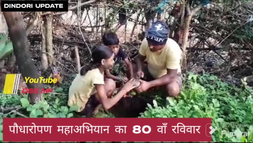 भारतीय किसान संघ जिलाध्यक्ष बिहारीलाल ने 80 वाँ रविवार किए पौधारोपण #dss mp