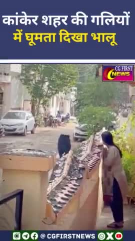 कांकेर शहर की की गलियों में घूमता दिखा भालू
#Bear seen roaming l #Kankercity l #reels l #viralvidio l  #chhattisgarh l #