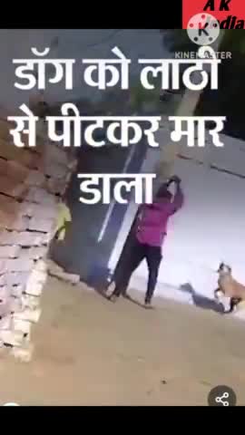 #झांसी में एक युवक ने एक कुत्ते को मार मार कर उसे मार डाला।
#