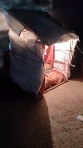 सर्दियों का समय है, आपके नजदीकी आसपास में यह बेजुबान आपको दिखे तो आप भी इस तरीके से,इनके रहने,सोने, खाने का बंदोबस्त करे