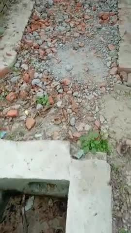खजनी ब्लॉक - ग्राम सभा-सहसी टोला(बंगला)प्रधान के द्वारा खडन्जा उखाड़ कर बड़ी बड़ी गिट्टी डालकर छोड़ दिया चार महिने से!