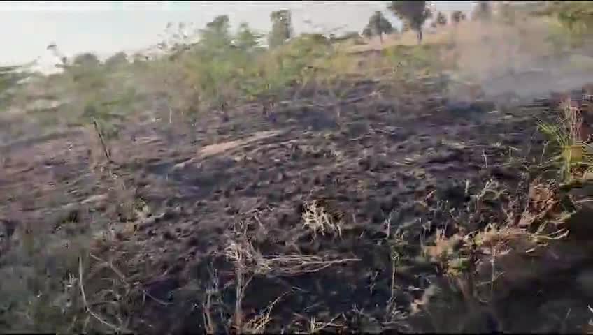 #रोहट : थाना क्षेत्र के कलाली गांव के खेतों की शरहद में लगी भीषण आग।