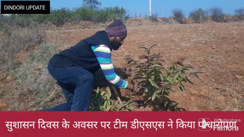 माननीय पूर्व प्रधानमंत्री अटल विहारी वाजपेई जी व सुशासन दिवस के अवसर पर टीम ने किया पौधारोपण #dss mp