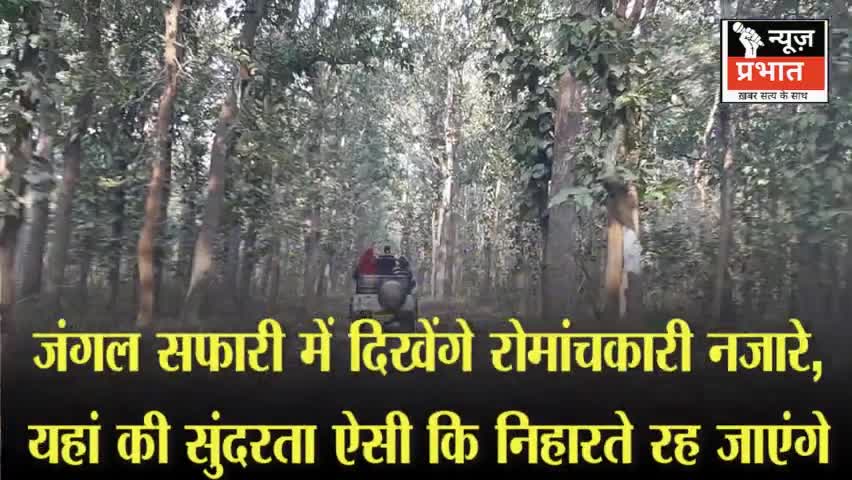 #न्यूजप्रभात नए साल पर चूका बीच फुल: जंगल सफारी में दिखेंगे रोमांचकारी नजारे, यहां की सुंदरता ऐसी कि निहारते रह जाएंगे।