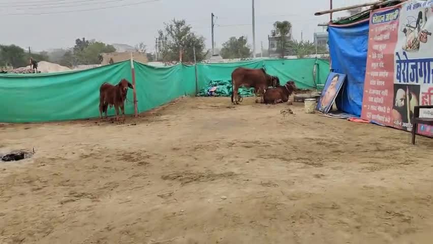 सभी को नववर्ष की हार्दिक शुभकामनाएं।
भोलेनाथ सभी का भला करें, सभी खुश रहे स्वस्थ रहे, नया साल सभी के लिए मंगलमय हो।

#HappyNewYear2024 #भोलेनाथ #जयहिंद_सेना #नवीन_जयहिंद #रोहतक #हरियाणा