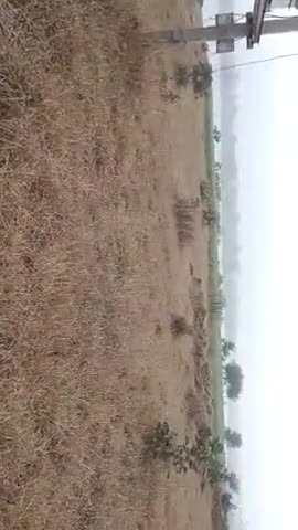 लगातार तीसरे दिन भी मौसम का हाल कुछ ऐसा रहा
#आगर #agar #news