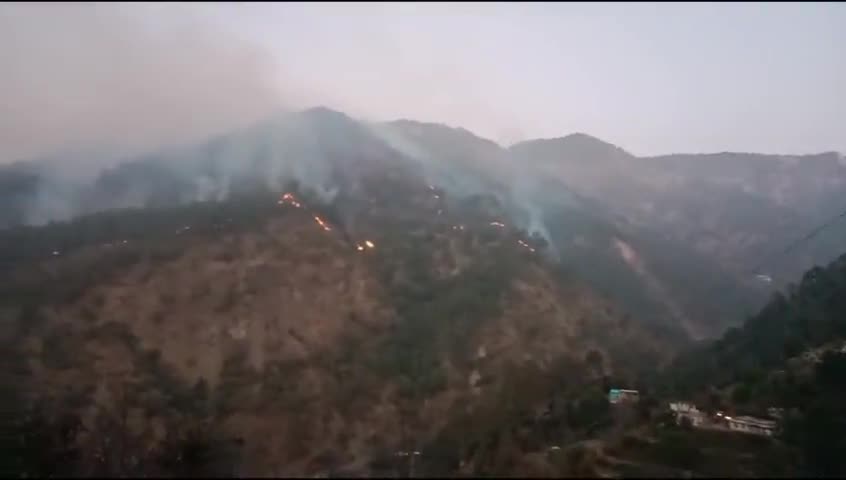 कोश्याकुटौली: कैंची धाम के निकटवर्ती क्षेत्र हरतपा के जंगलों में लगी भीषण आग।

#firenews #news24upuk #crime