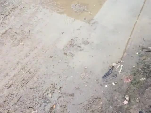 कोरांव: #शास्त्री #नगर कोराव वार्ड नंबर 6