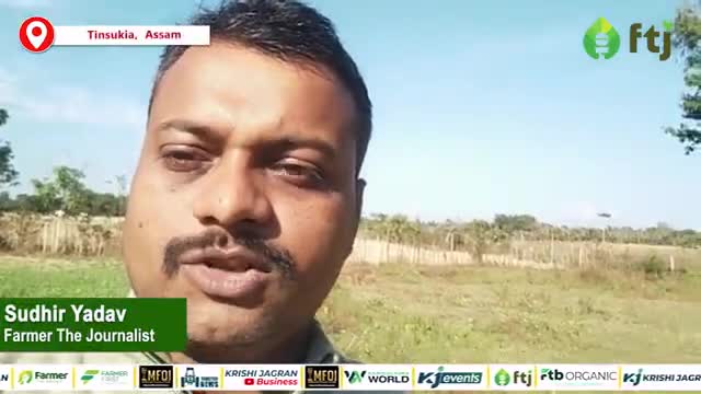 Touch me not plant: छुईमुई का पौधा किसानों के लिए फायदेमंद या नुकसानदायक

#touchmenot #plants #agricluture #farming