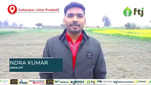 चने में Nipping Process करने का तरीका और इसके फायदे

#agriculturesector #farming #farmers #agricluture #agriculturelaw