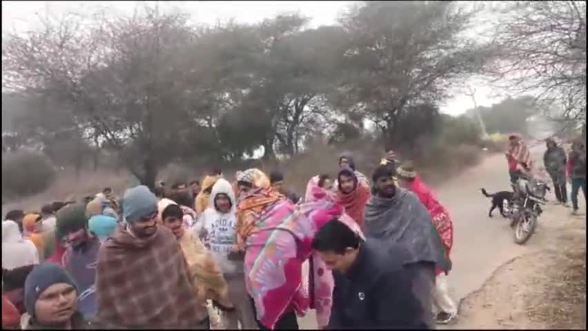 बाढड़ा: खोरड़ा में एक व्यक्ति पर 250 से अधिक हरे पौधों को नुकसान पहुंचाने का आरोप,  मौके पर पहुंची वन विभाग की टीम