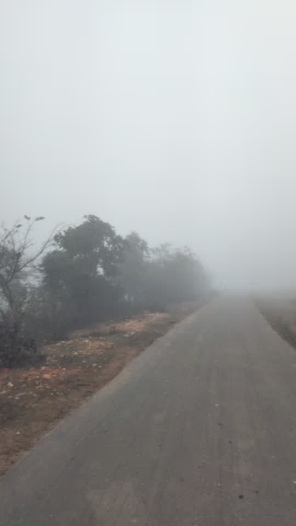 #पलेरा: घूरा गांव में लगातार बढ़ रहा है कोहरा 31 दिसंबर से नहीं निकली धूप