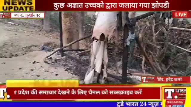 तमकुहीराज : दुदही ब्लाक अंतर्गत गरीब के दुकान को उछक्कों द्वारा जाला दिया गया || #kushinagarnews #Viralvideos