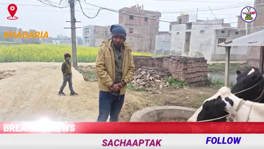 खगड़िया: जय  श्री राम ,  जय श्री कृष्ण   गो माता ने  एक बछरें को जन्म दिये हैं । #gomata #jaishreekrishna #jaishreeram #boltakhag