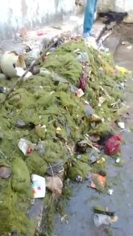 रायपुर: is talab ko safai karvay.#swachta abhiyaan