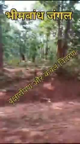 #साइकिल_यात्रा_एक_विचार
#जमुई #पर्यावरण