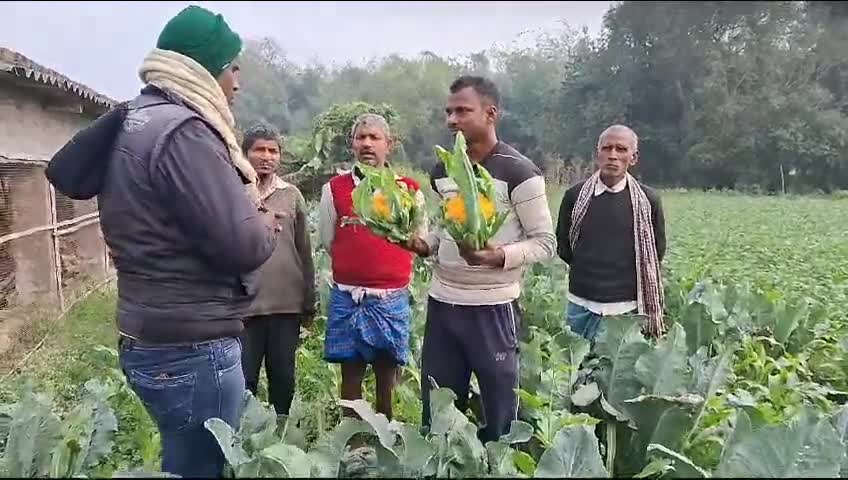 उजियारपुर:
खेती में कड़ी मेहनत, समय और सही परामर्श के द्वारा सफल प्रगतिशील किसान के रूप में नरेश कुमार की खास पहचान हैं
