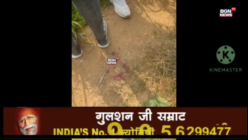 #rewari:–राजस्थान से हरियाणा मे घुसा बाघ,अलर्ट जारी#breakingnewsjind
