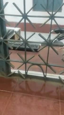 chauradano  station me adhikari samy se uplabdh nahi ticket counter pe#sitamarahi