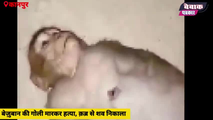 इंसानियत ने इंसानियत के गोली मारी #monkey