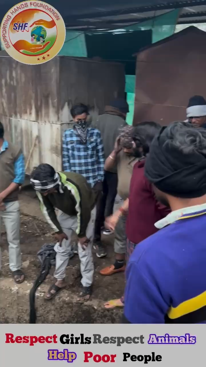 ग्वालियर गिर्द: में अपना कर्म कर रहा हु 

Respect Girls help poor help animals 

#apsgurjar#supportinghandsfoundation #cow #help #animals