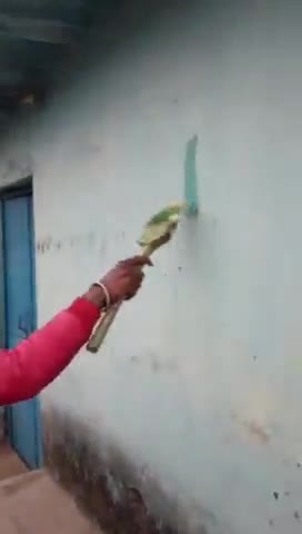दूसरे दिन-पर्यावरण एवं रक्तदान संकल्प यात्रा। सह जंगल बचाओ अभियान के।  #पर्यावरण #रक्तदान #2ndday