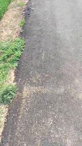 रॉबर्ट्सगंज: Sonbhadra robertsganj odauli gram ka naya road bana par kharab 😳
#viral
#viral_news