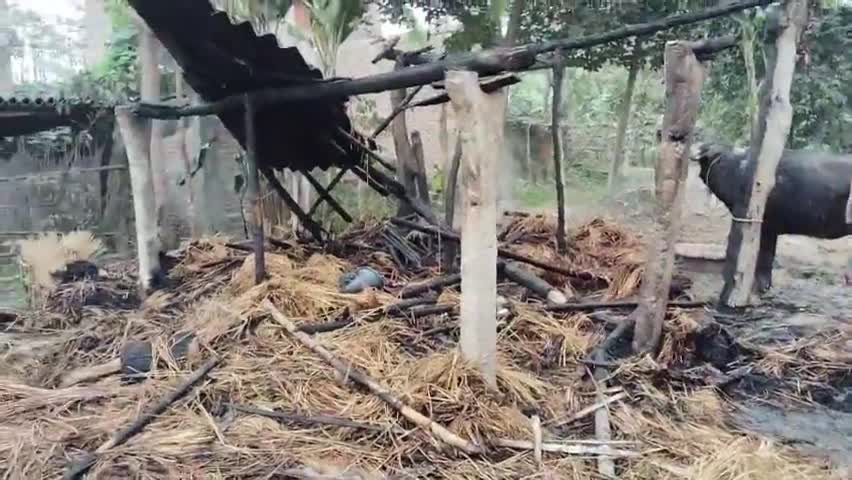 मरवन: करजा थाना क्षेत्र के खलीलपुर में अचानक लगी आग में एक घर जला,भैंस झुलसकर जख्मी