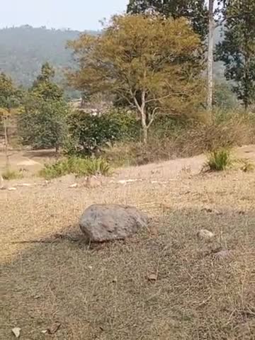 शादी निमंत्रण पत्र
#shivavlogspeshrar #shivanew #news_भारत