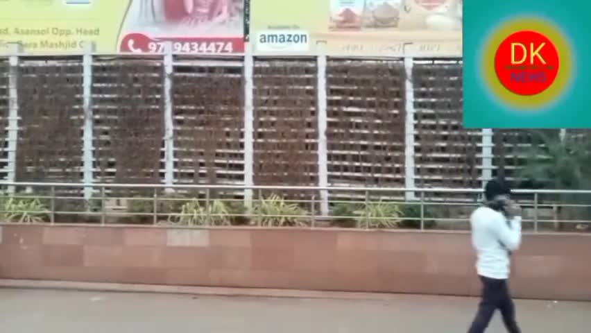 मधुपुर: Madhupur railway station plants
#dwarika krishna news#