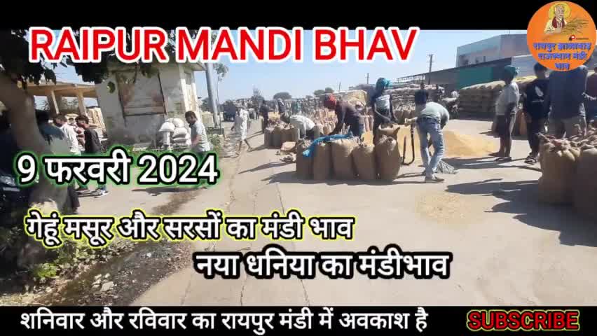 नया धानिया का रायपुर मंडी में भाव। #viral #shortsvide #कोटा