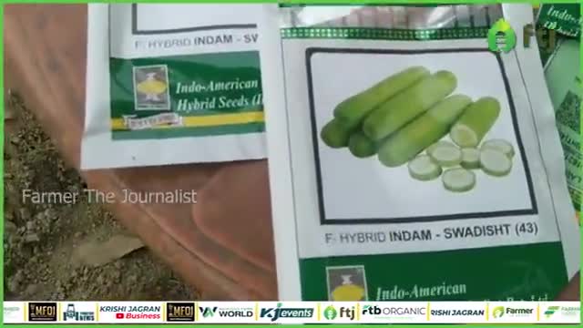 Hybrid Cucumber Cultivation: खीरा की सफल खेती के लिए करें इस हाइब्रिड किस्म का चुनाव

#cucumberfarming #cucumber #farm