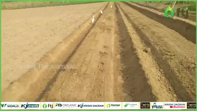 Watermelon cultivation: तरबूज की बुवाई के लिए इस कृषि यंत्र से करें बेड की तैयारी

#watermelon #agricultural #farming