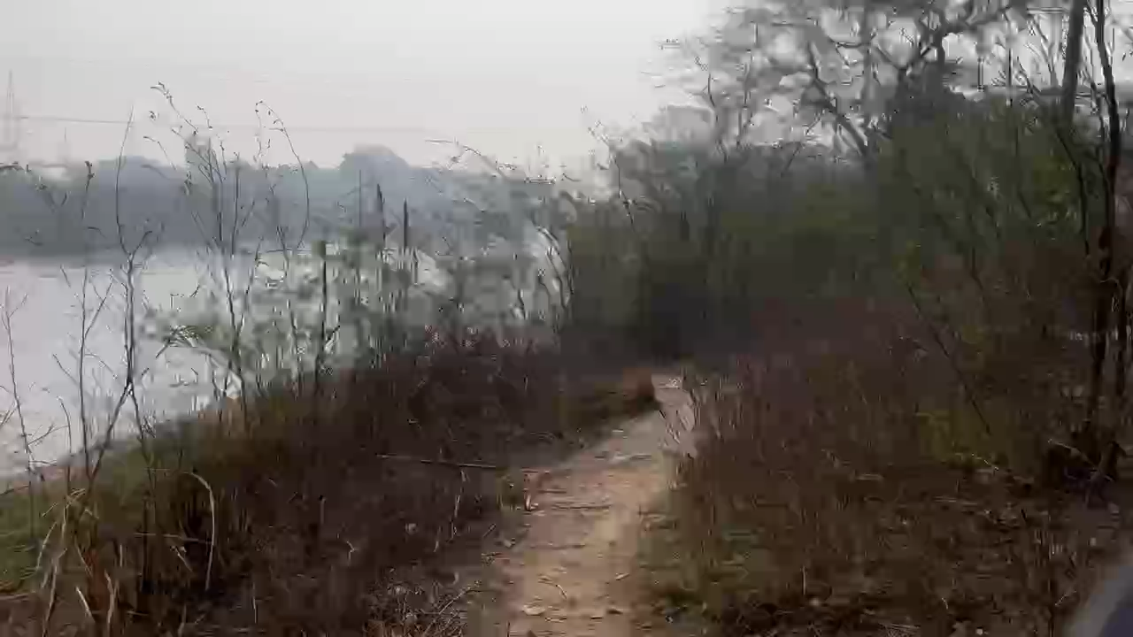 सेल्फी लेने के चककर मैं गंग नहर मैं गिरा छात्र साथ मैं कूदे दो दोस्तों ने मिलकर बचाया 
#newsjunction