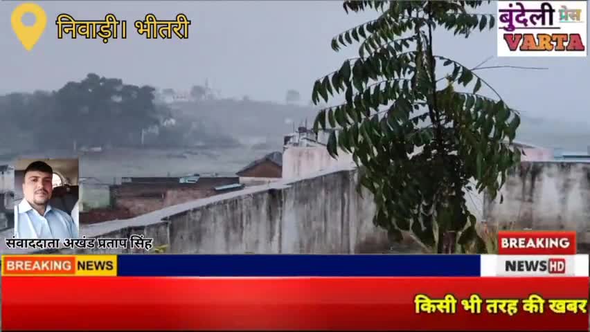 निवाड़ी। आकाश की बिजली गिरने से मवेशियों समेत एक महिला हुई गंभीर रूप से घायल। #news #niwarinews #mp